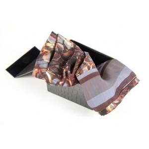 Shantanu Nikhil Ladies Scarf